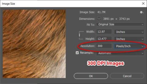 How to Convert Images to 300 dpi - Clipping Photo Experts