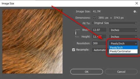 How to Convert Images to 300 dpi - Clipping Photo Experts