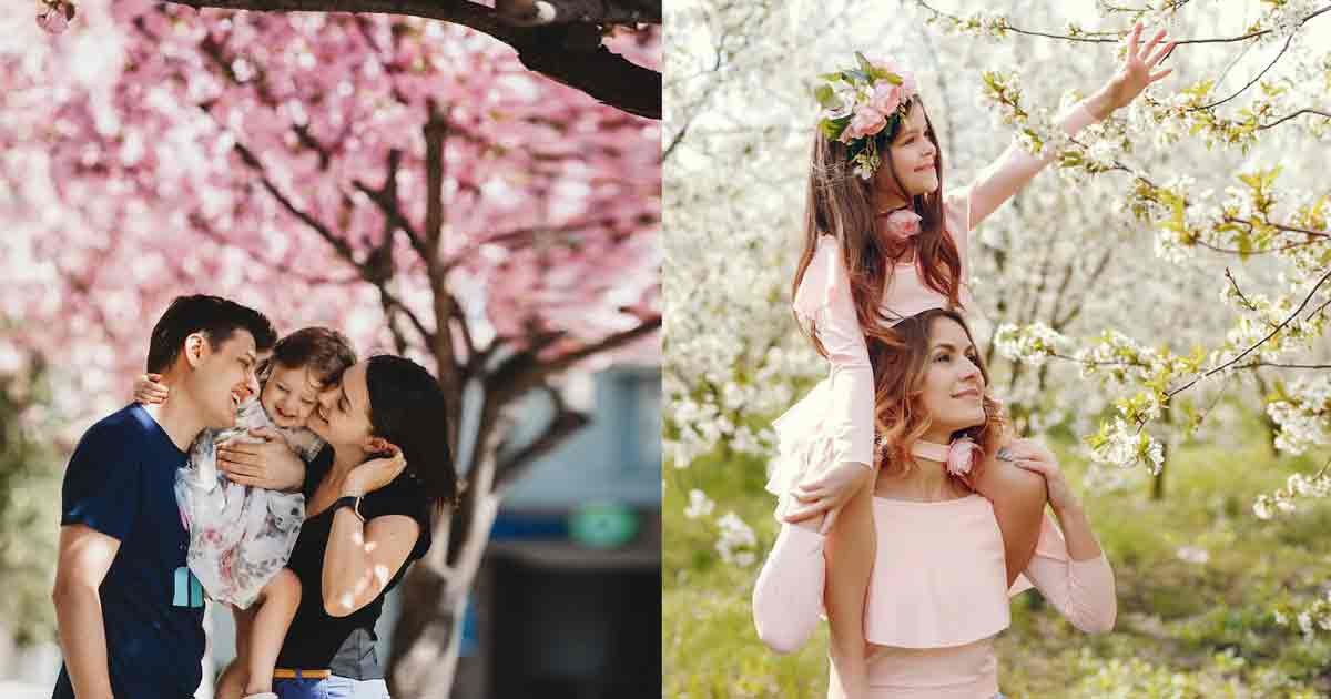 Cherry-blossom-cam