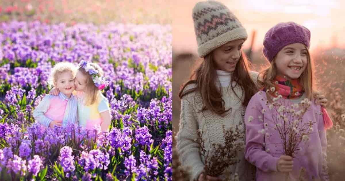 Flower-Field-Adventure