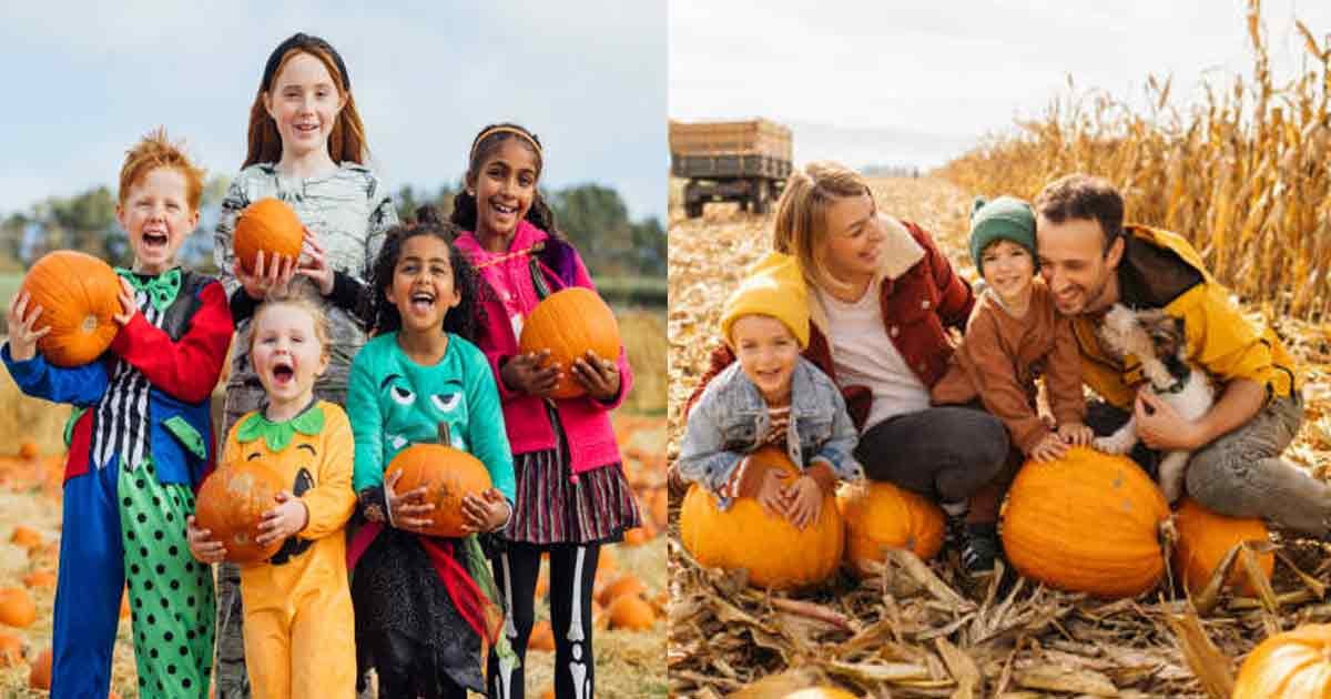 Pumpkin-Patch-Fun