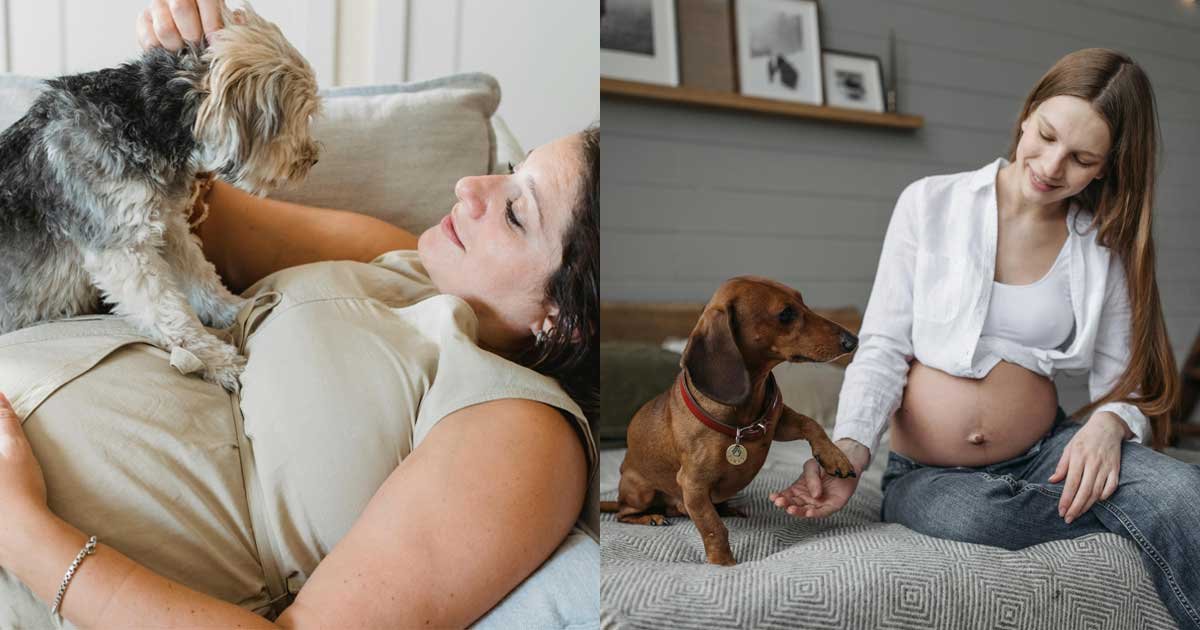 Pregnant woman lying and sitting indoors while interacting with her dog during a pet-inclusive maternity photoshoot